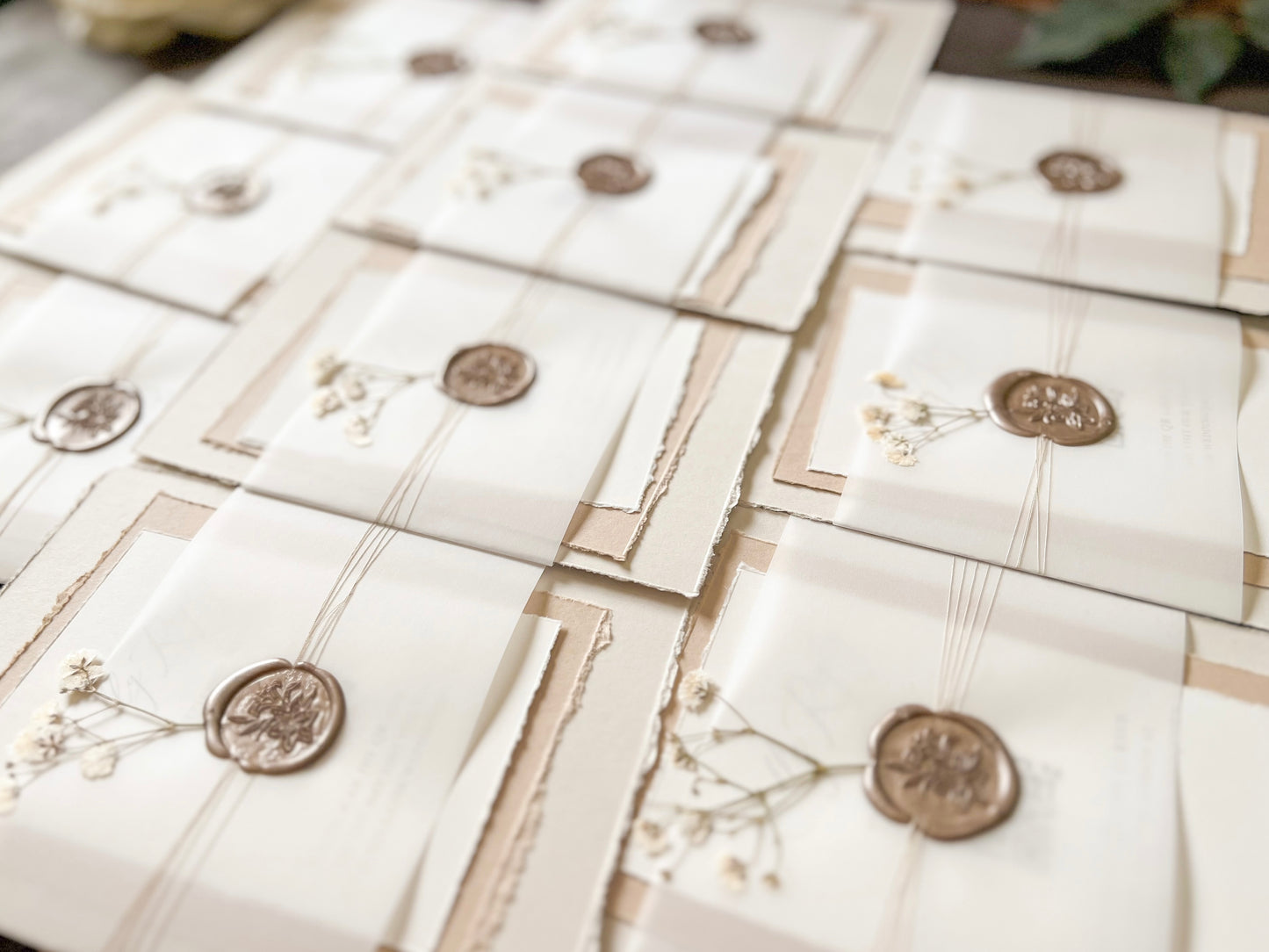 Neutral Baby’s Breath Wedding Invitation with Deckled Edging, Vellum and Wax Seal