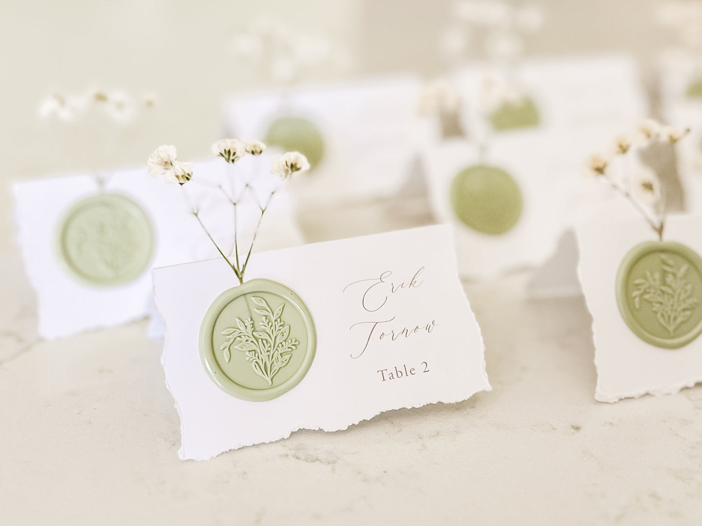 Folding Tent Wedding Place Cards with Baby’s Breath, Wax Seal and Deckled Edging