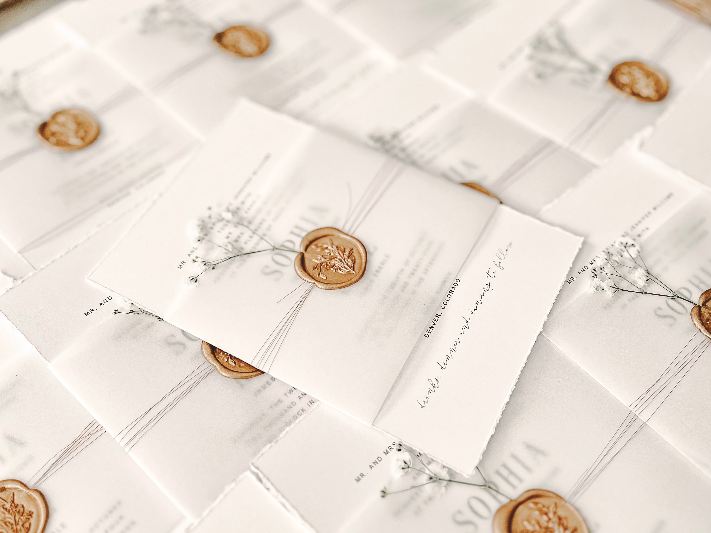 Contemporary Ivory Wedding Invitation with Baby’s Breath, Deckled Edging, Vellum Belly Band and Wax Seal