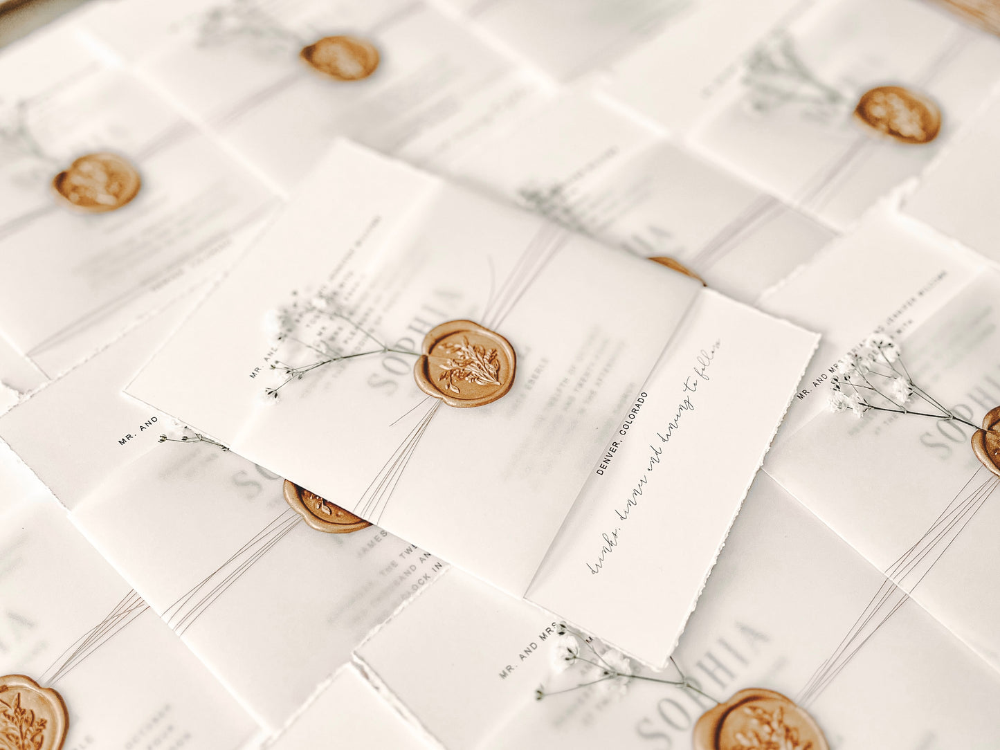 Contemporary Ivory Wedding Invitation with Baby’s Breath, Deckled Edging, Vellum Belly Band and Wax Seal