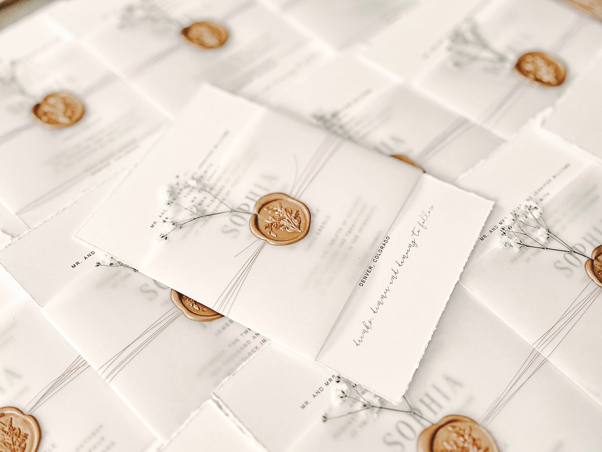 Contemporary Ivory Wedding Invitation with Baby’s Breath, Deckled Edging, Vellum Belly Band and Wax Seal