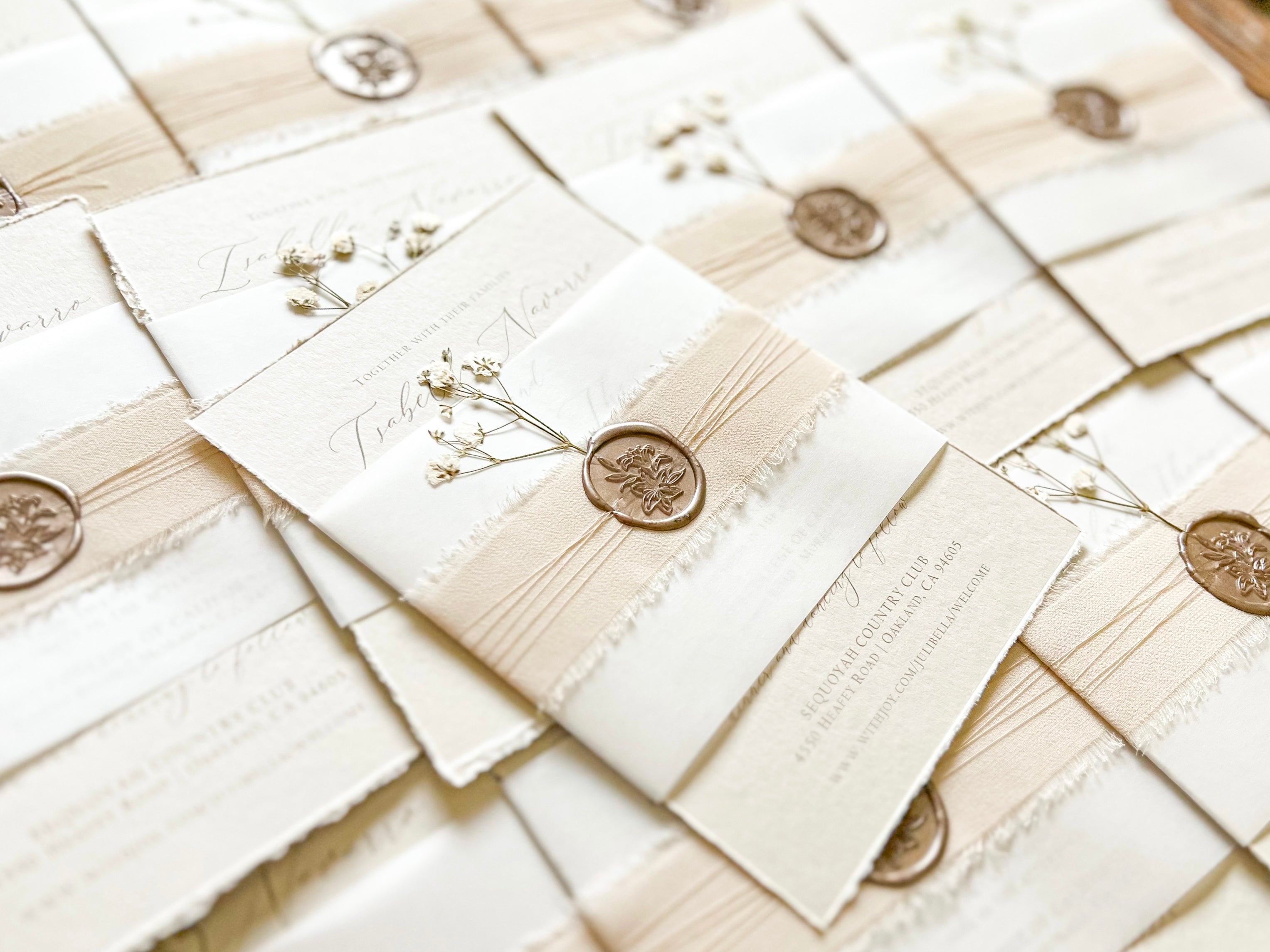 Neutral Wedding Invitation with Deckled Edging, Vellum Belly Band, Chiffon Ribbon, Dried Baby’s Breath and Wax Seal