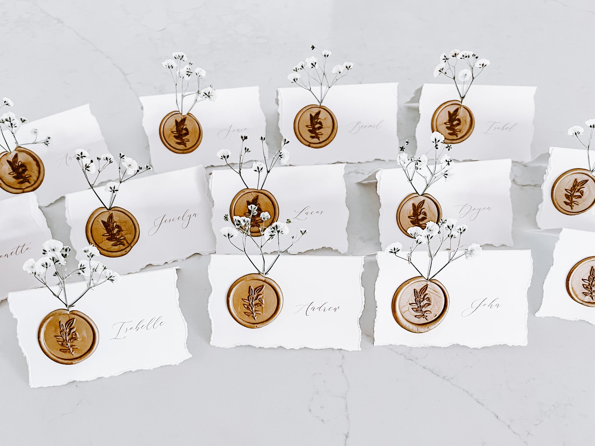 Folding Tent Wedding Place Cards with Baby’s Breath, Wax Seal and Deckled Edging