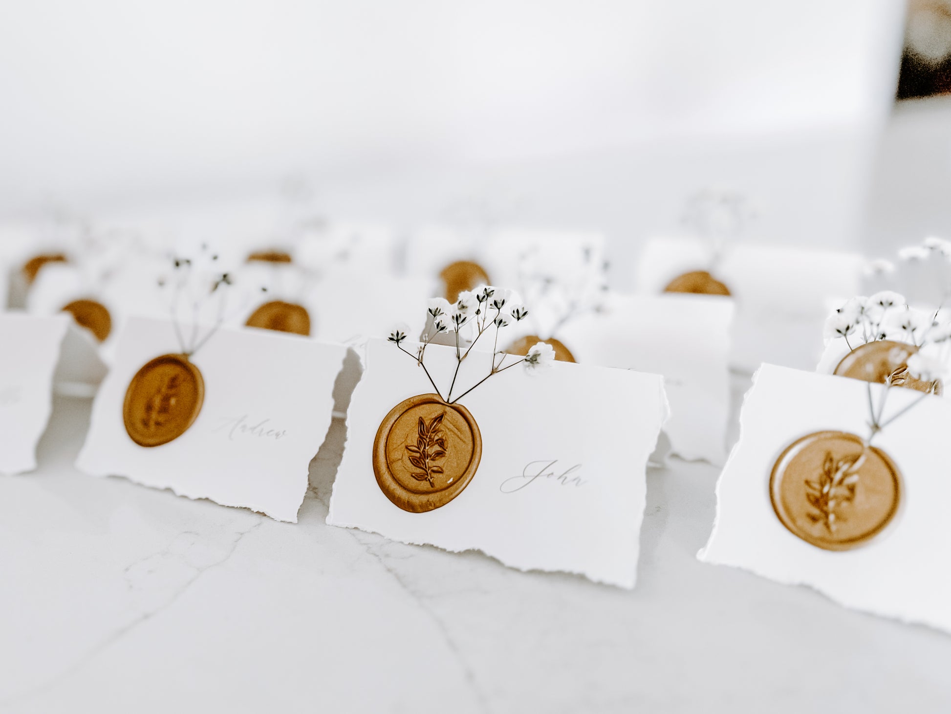 Folding Tent Wedding Place Cards with Baby’s Breath, Wax Seal and Deckled Edging