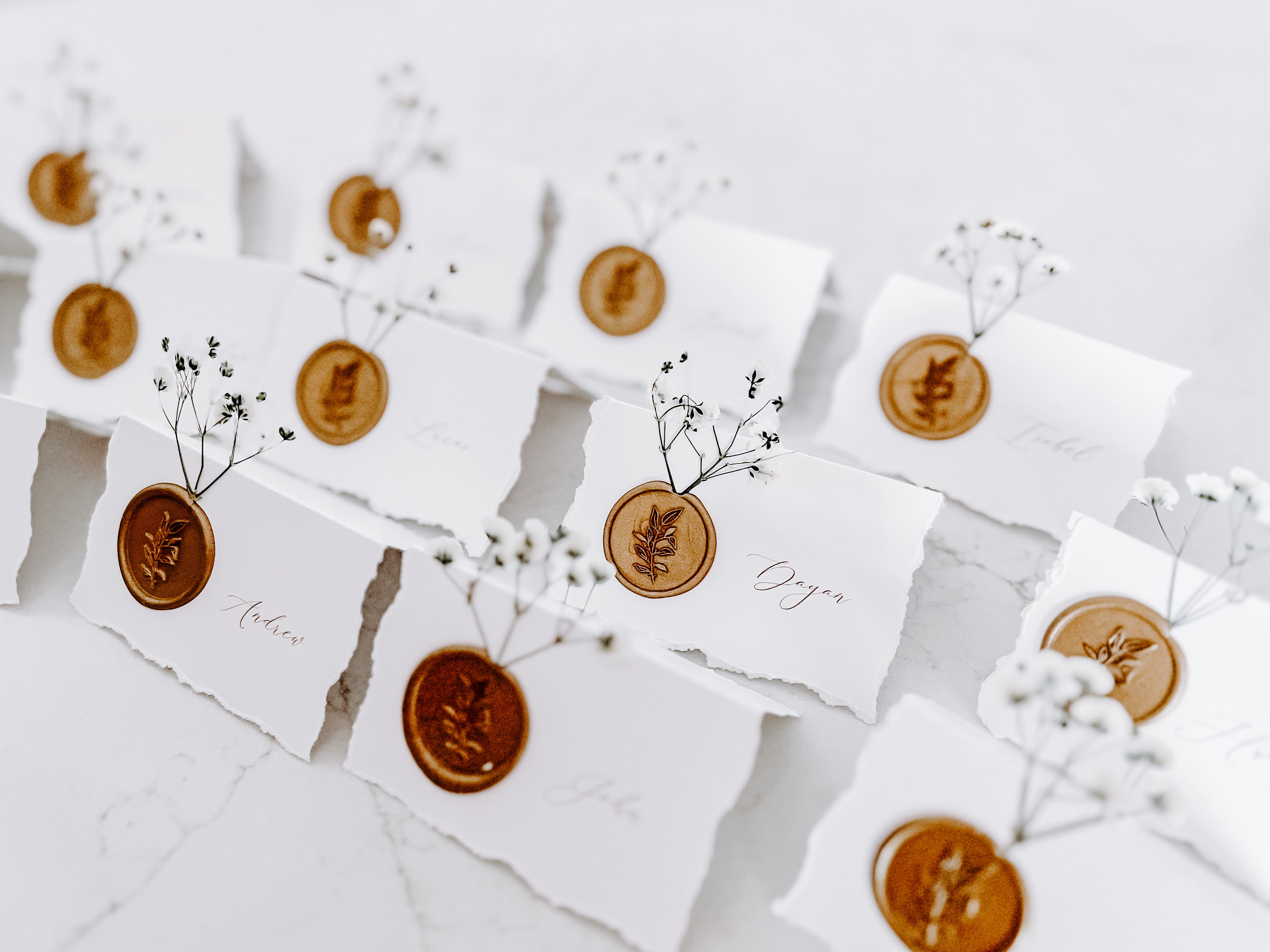 Folding Tent Wedding Place Cards with Baby’s Breath, Wax Seal and Deckled Edging