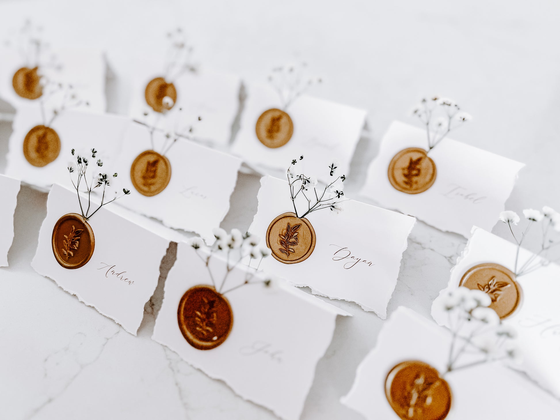 Folding Tent Wedding Place Cards with Baby’s Breath, Wax Seal and Deckled Edging
