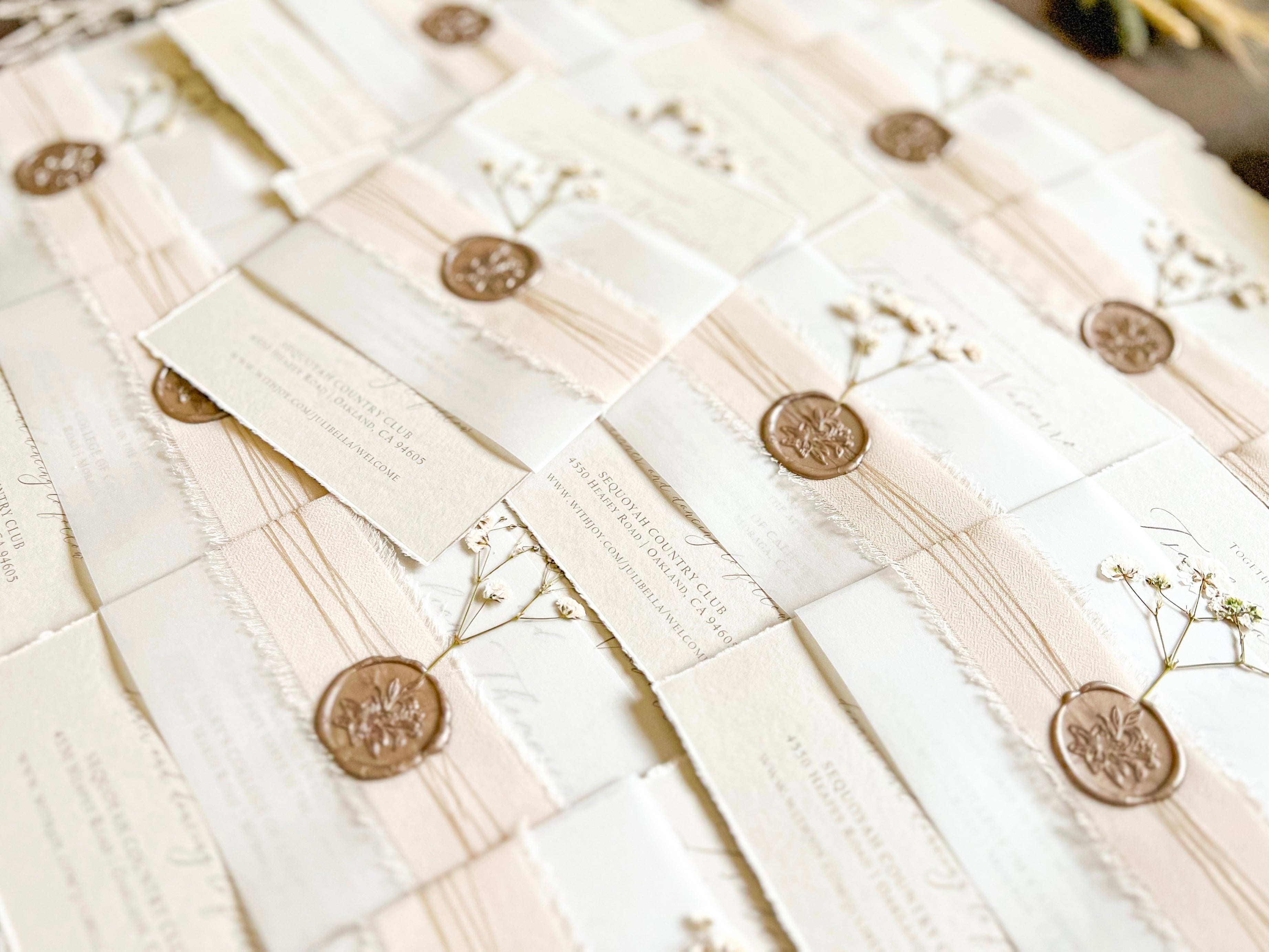 Neutral Wedding Invitation with Deckled Edging, Vellum Belly Band, Chiffon Ribbon, Dried Baby’s Breath and Wax Seal