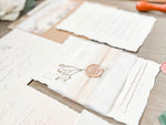 Neutral Wedding Invitation with Deckled Edging, Vellum Belly Band, Chiffon Ribbon, Dried Baby’s Breath and Wax Seal