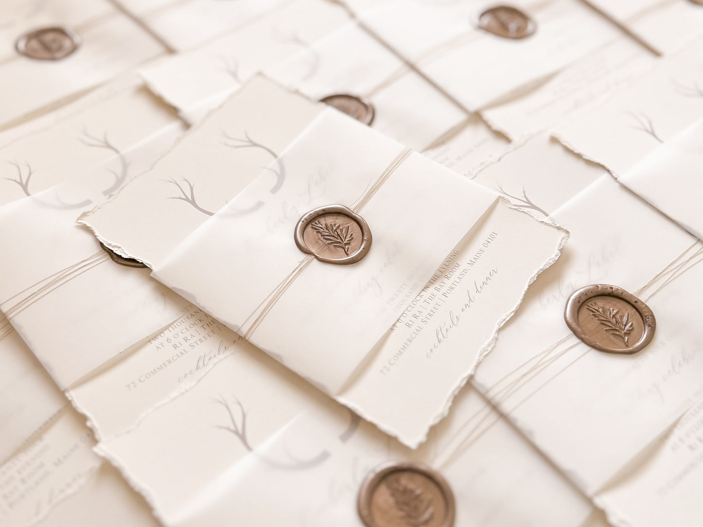 Antler Boho Wedding Invitation with Deckled Edging, Vellum Belly Band and Wax Seal