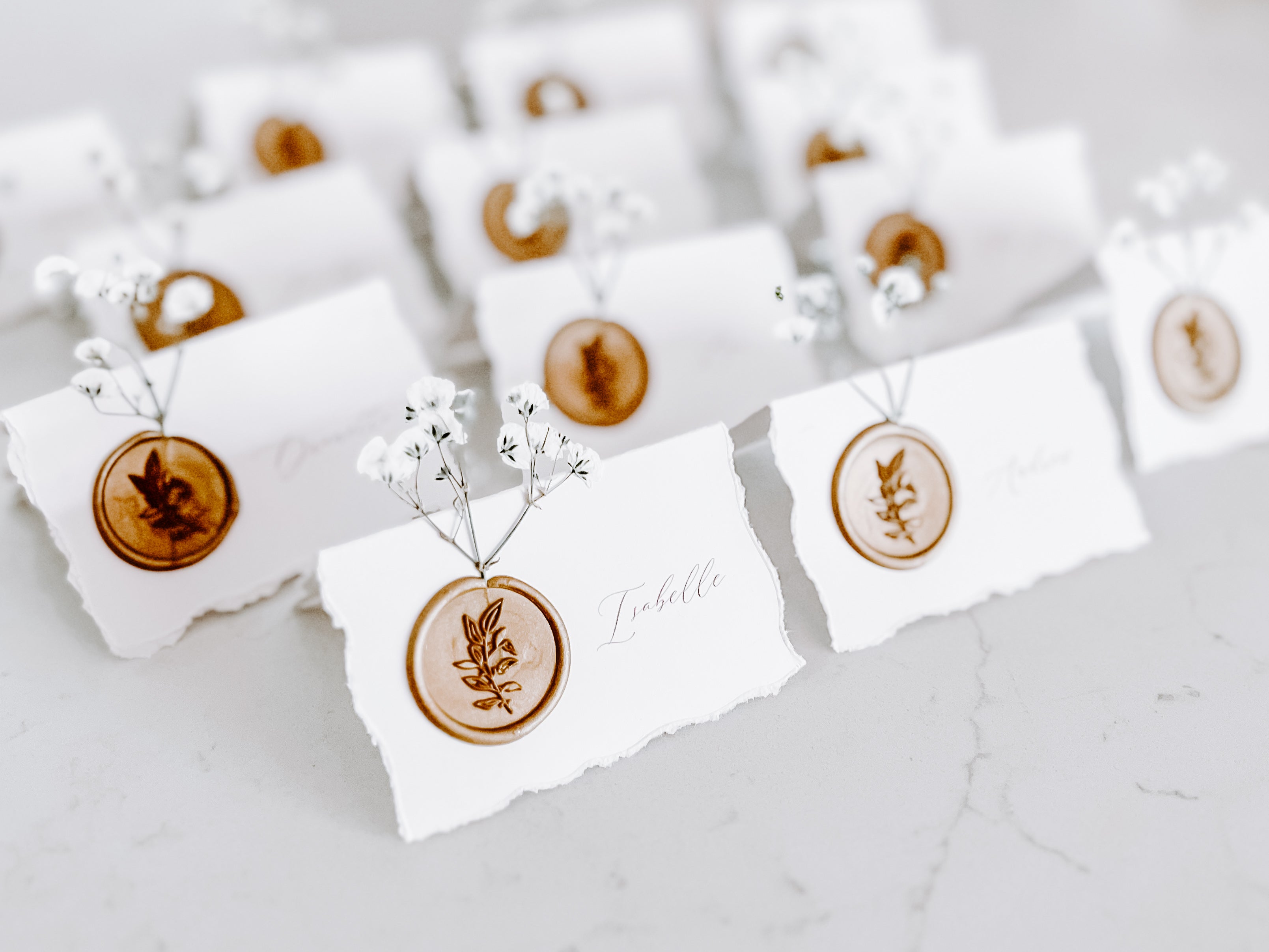 Folding Tent Wedding Place Cards with Baby’s Breath, Wax Seal and Deckled Edging
